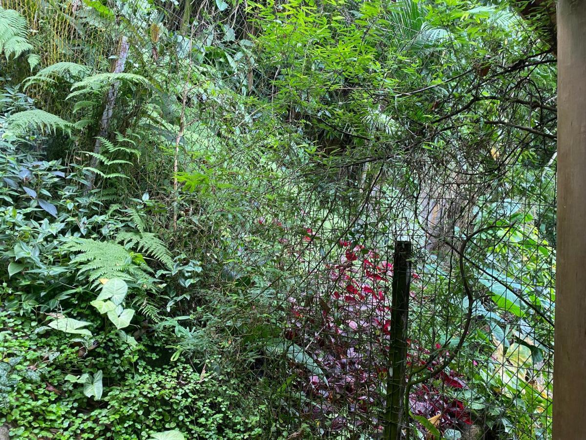 Mar Aberto Suite Ubatuba Extérieur photo